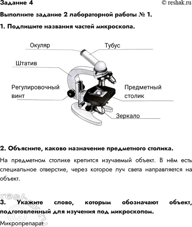 Лабораторная работа 6 класс 4 параграф. Лабораторная работа 6 класс 4 параграф