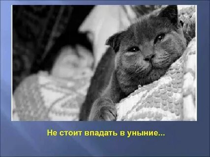 Впал уныние