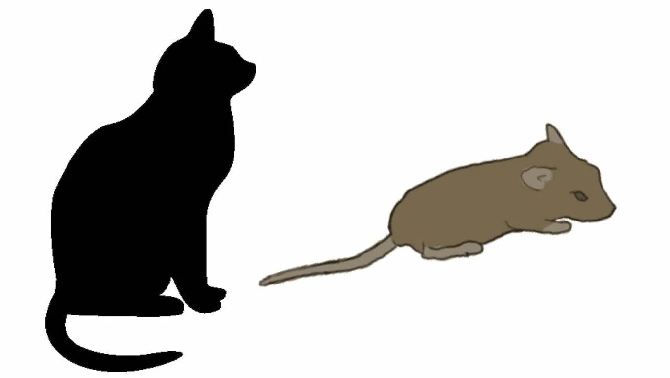 Игра мышка бегает по экрану для кошек. Мышь на экране для кошки. Мышки для котов на экране. Мышка для кошки gif. Мышки для котят на экране.