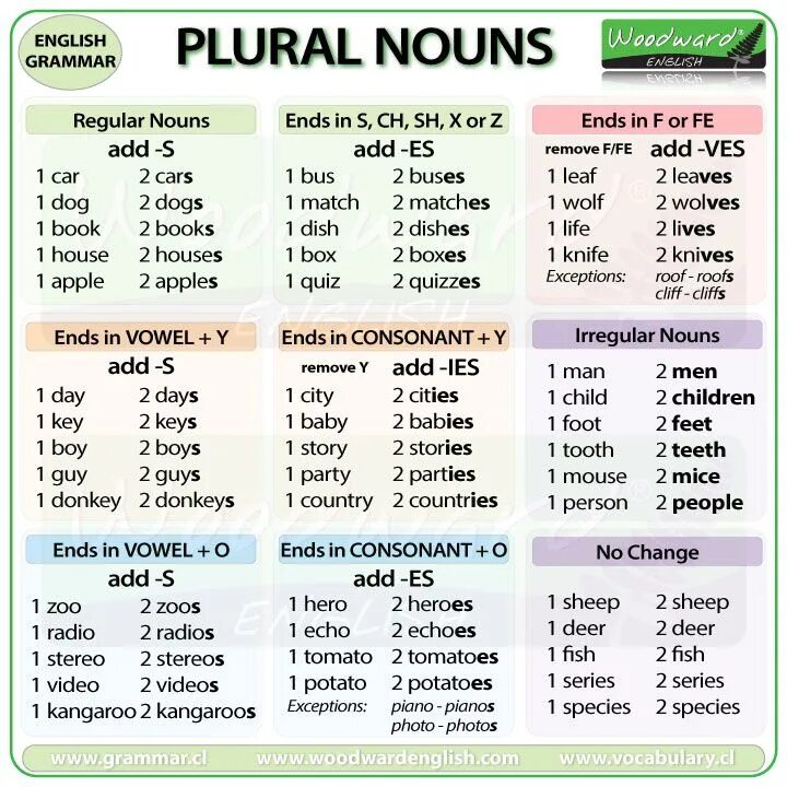 Plural Nouns English. Plural of Nouns множественное число существительных. Plural form in English. Plural and singular Nouns в английском языке. One of these days 3