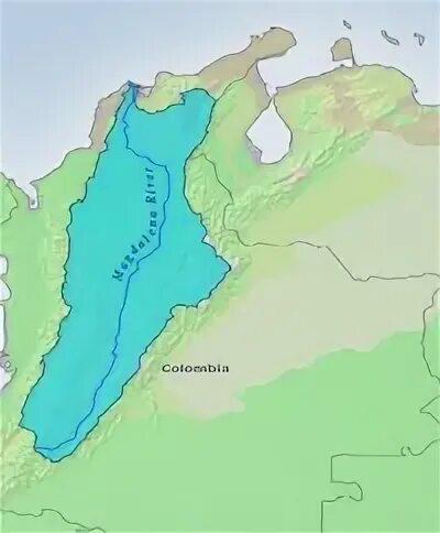 List of fishes in the Magdalena River - Wikipedia