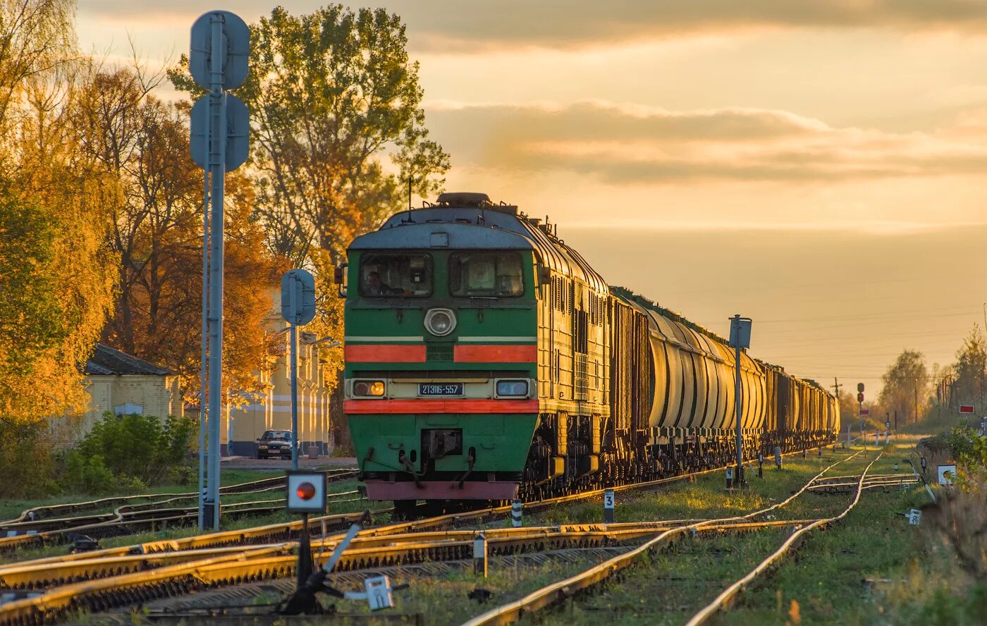 Поезд 557х отзывы. Дизель 2тэ116. 2тэ116-1677. 2тэ116 тепловоз. 2тэ116у RAILGALLERY.