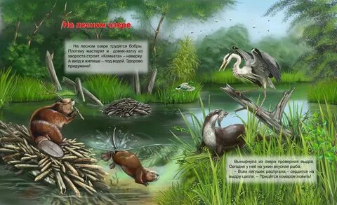 В лесном озере водились