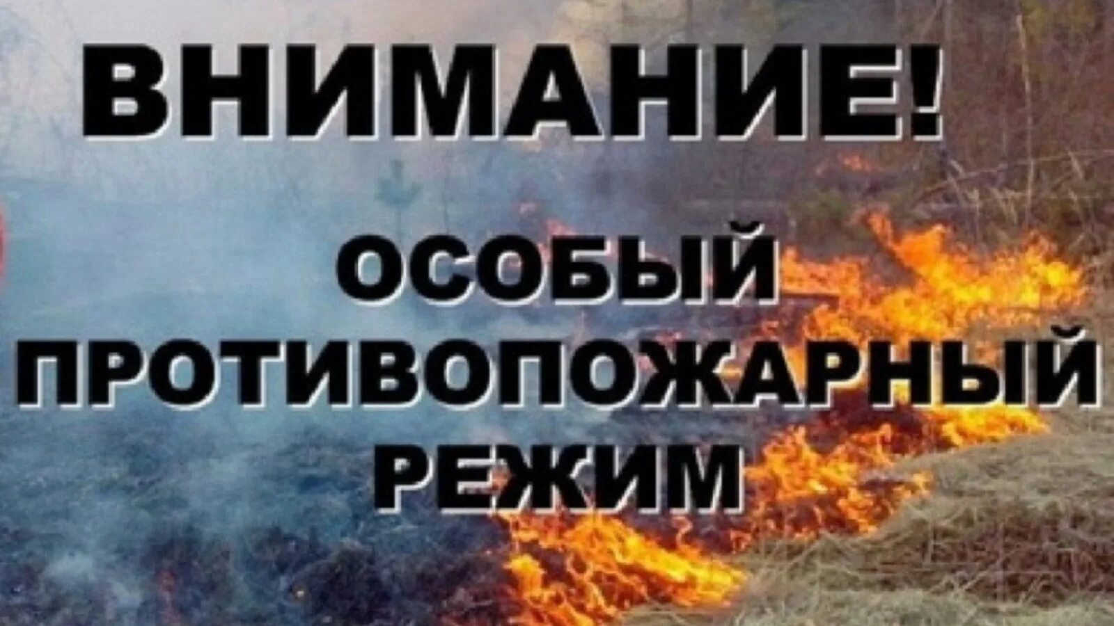 Противопожарный режим воронеж. Противопожарный режим воронеж. Особый противопожарный режим. Действует особый противопожарный режим. Отмена особого противопожарного режима картинка.