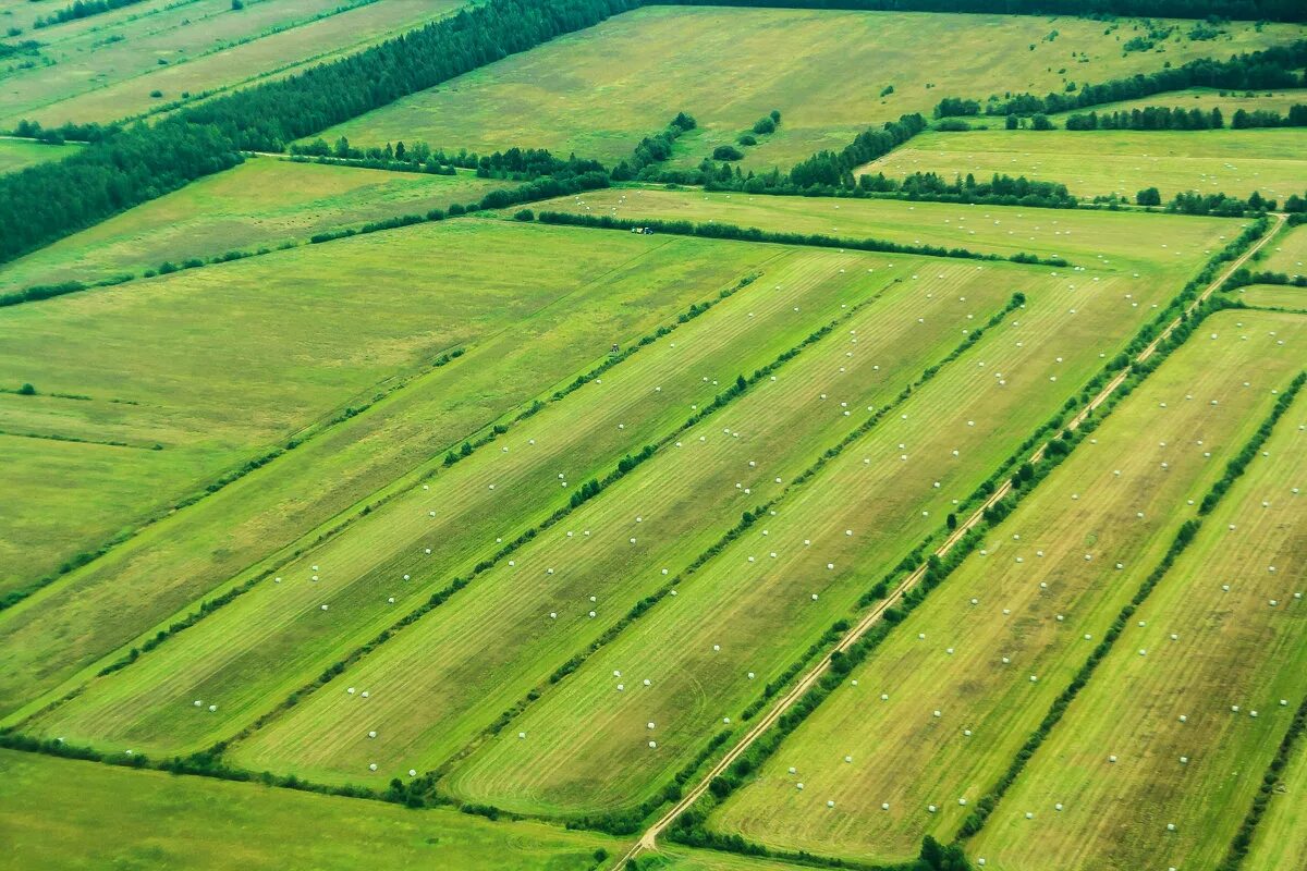 Jerome super wings. Робокар поли. Super wings jett x chase run. Поли 21. Робокар поли джин.