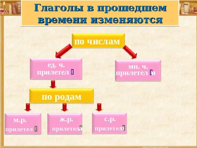 Живет род глагола. Глаголы прошедшего времени по родам. Глаголы прошедшего времени изменяются по родам. В прошедшем времени глаголы изменяются по. Глаголы изменяются по временам.