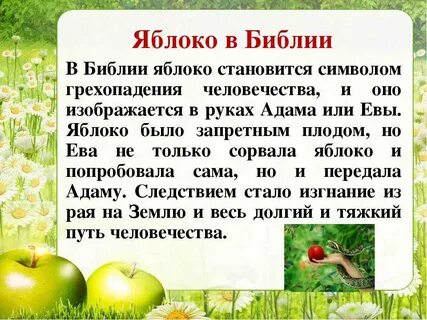 Символическая роль яблока в легендах