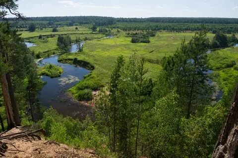 Владимирская ярославская область