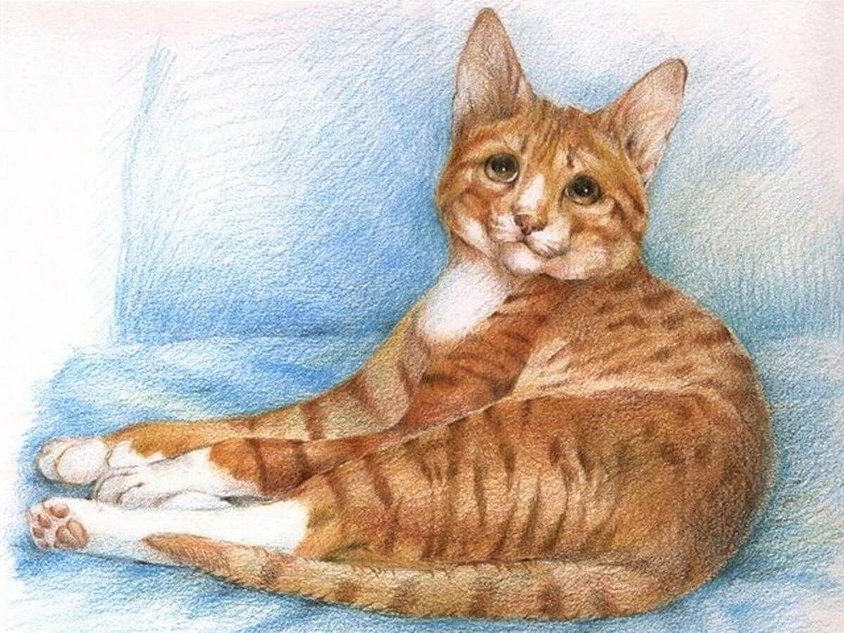 Рыжий кот акварелью. Коты анны холлерер. Детский сад для котят. Рыжий котенок акварель. Коты аристократы кошечка мари.