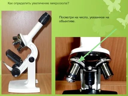 Как определить увеличение которое дает микроскоп