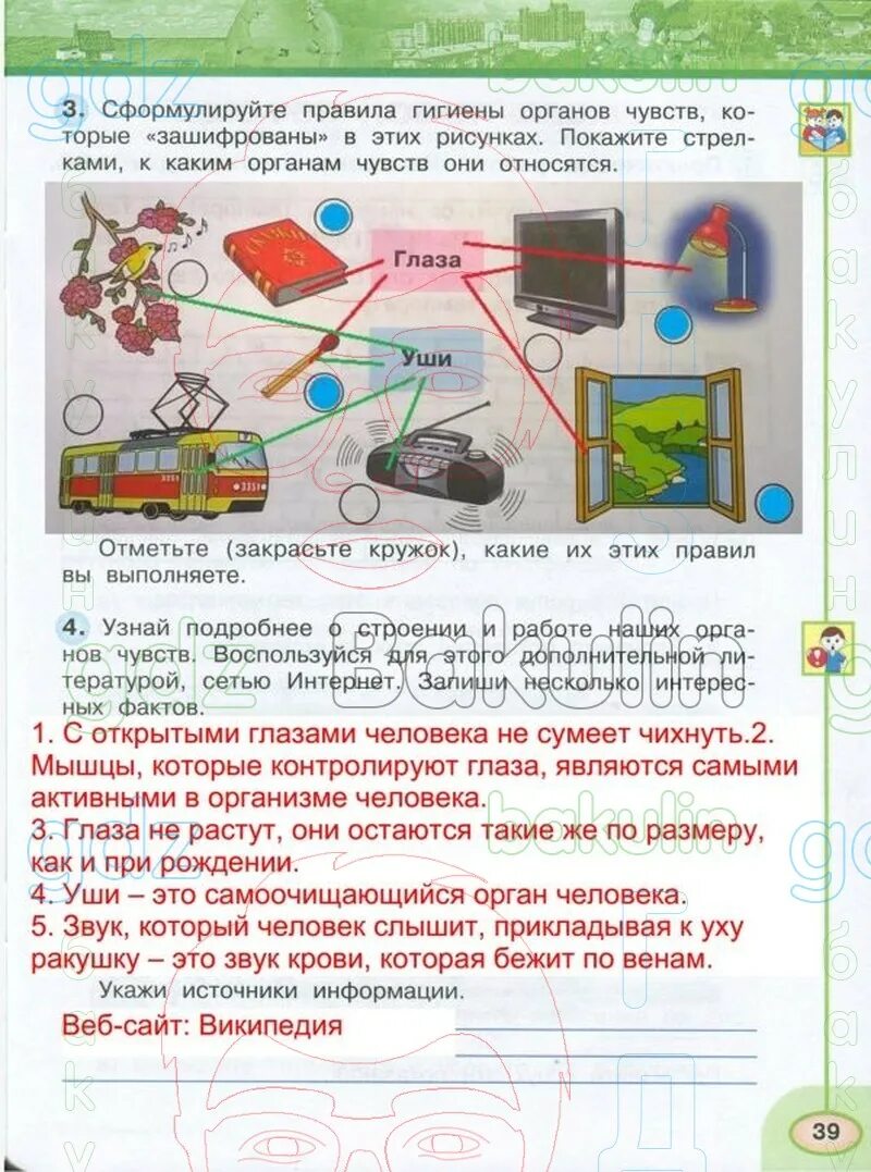 Окружающий мир 3 класс рабочая тетрадь 2 часть Плешаков стр 39. Окружающий мир 3 класс 2 часть страница. Окружающий Ир номер 4 рабочая тетрадь 3 класс. Окружающий мир 3 класс рабочая тетрадь перспектива.