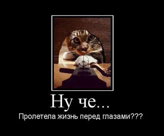 Старость подкралась незаметно. Незаметно это все в той. День пролетел незаметно. Пиздец подкрался незаметно. Дворец королевы.