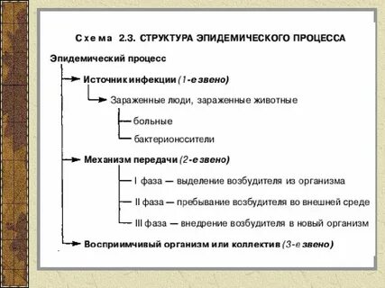 Звенья одного процесса