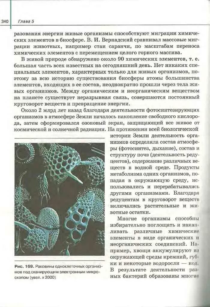 Биология 6 класс учебник сивоглазов. Биология 10 класс учебник Агафонова Сивоглазов. Книга 10 по биологии Сивоглазов. Биология 10-11 класс учебник Сивоглазов. Учебник биологии 10 класс Сивоглазов Агафонова Захарова.