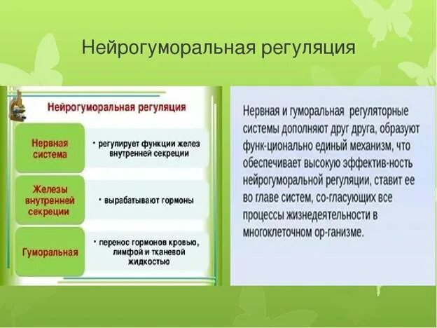 Как осуществляется нейрогуморальная регуляция организма. Неиро гуморальная регуляция. Нейрогуморальная регуляция. Нерйро-гкморалньая регуляция. Нейрогуморальная система регуляции.