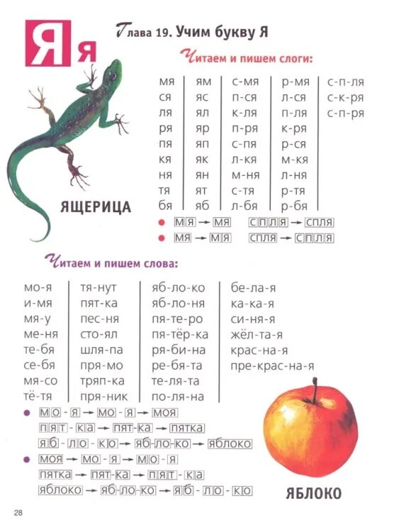 Анализ ящерица. Ящерица звуковой анализ. Ящерица по слогам. Ящерица звуковая схема. Звуковой анализ слова ящерица.