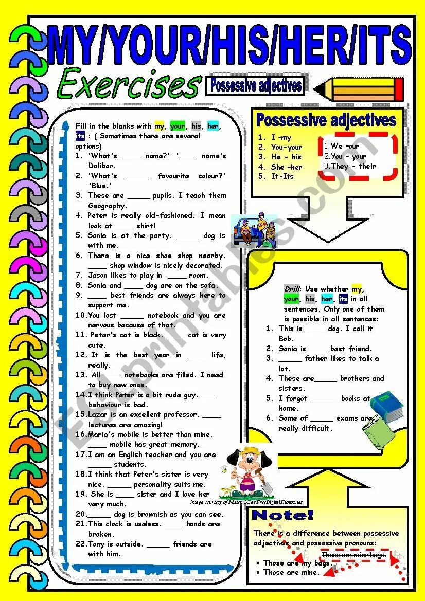 Possessive adjectives упражнения. Possessive adjectives Worksheets. Worksheet his her our. Possessive adjectives грамматика. My your worksheet