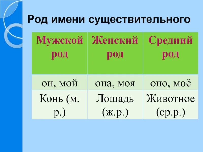 Род имён существительных 3 класс. Мужской женский средний род. Склонение. Имена существительные м р. Мужской род женский род.