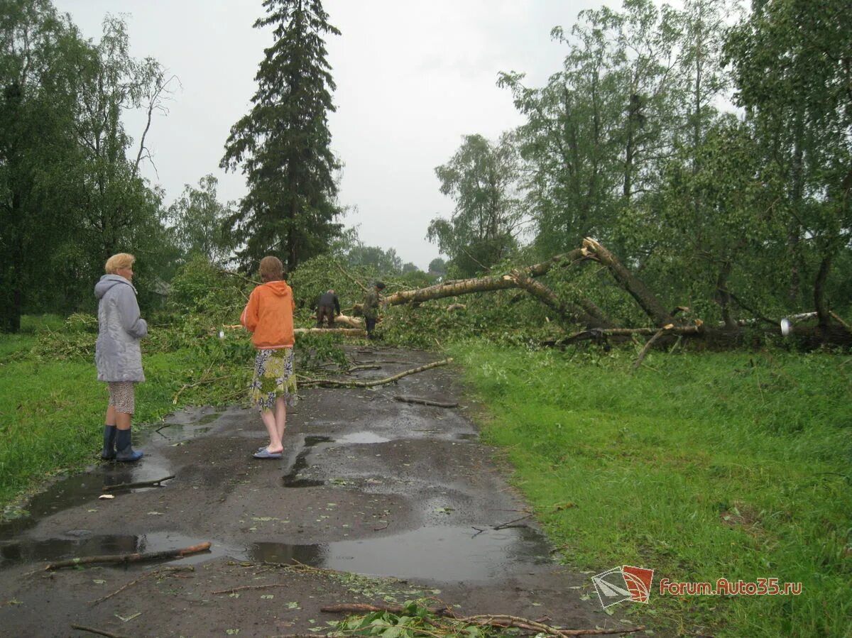 Погода врагово междуреченского. Врагово междуреченский район. Врагово междуреченский район. Авито кадников недвижимость вологодская область. Деревня врагово междуреченского района вологодской области.