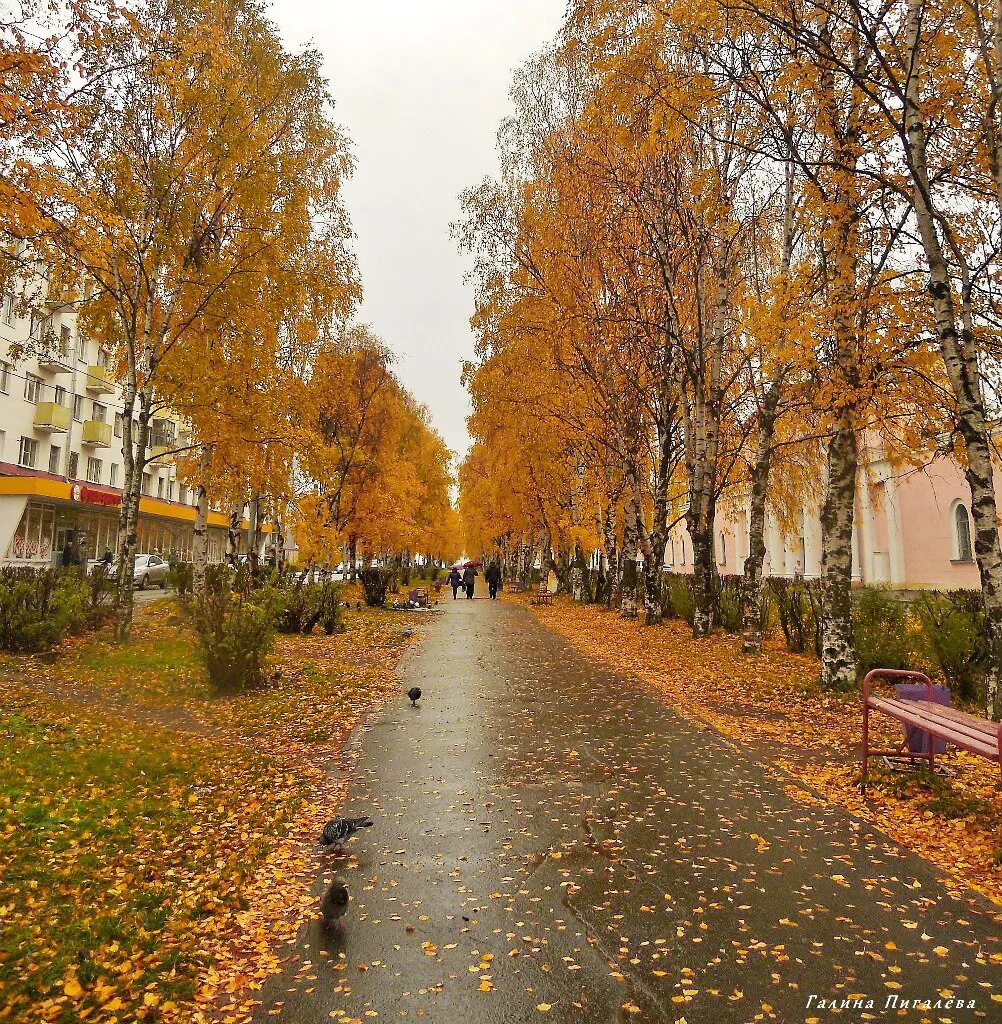 Погода в архангельском на 10 дней