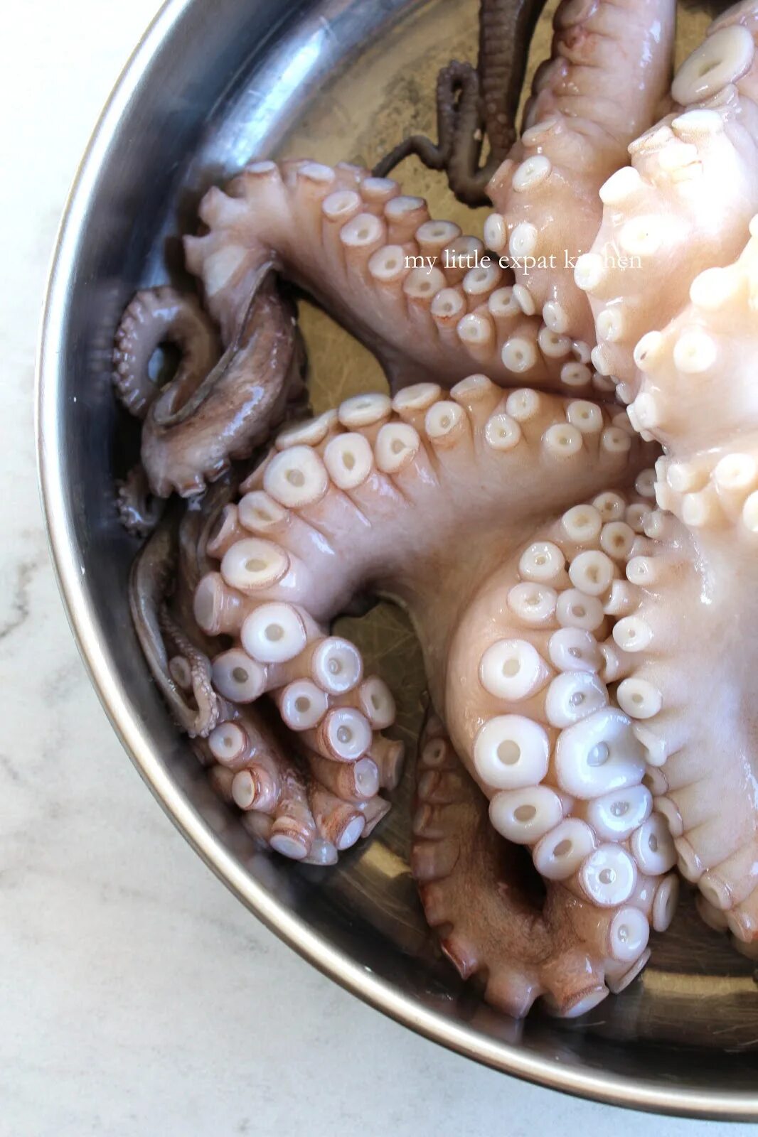 Как почистить осьминога. Как почистить осьминога в домашних условиях пошаговый. Как почистить осьминога. Как почистить осьминога. Как почистить осьминога.