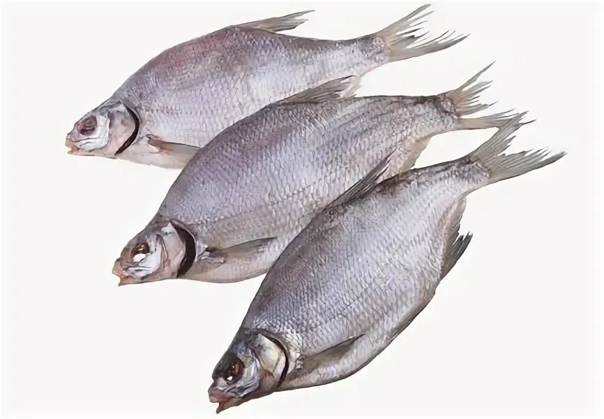 лещ вяленый астраханский. цимлянский лещ. цимлянский лещ. тарашка густера. цимлянский лещ большой.