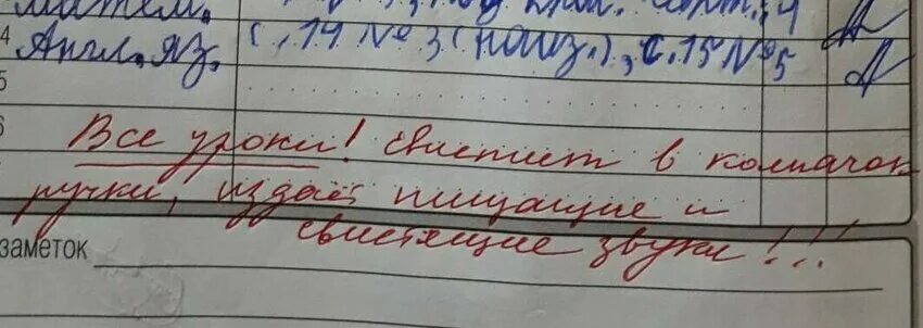 Смешные замечания в дневнике. Замечание в школе. Дневник родители в школу. Смешные замечания в школьных дневниках.