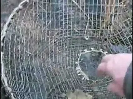 Верши для рыбалки своими руками