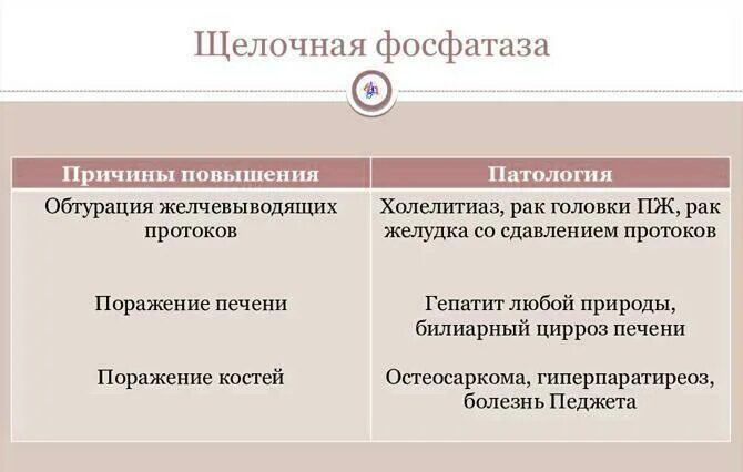 Щелочная фосфатаза причины повышения. Причины повышения щелочной фосфатазы. Почему повышена щелочная фосфатаза. Повышение щелочной фосфат. Фосфатаза понижена у женщин причины