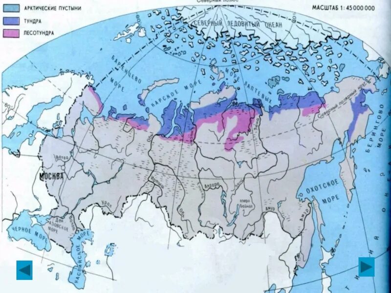 Территория распространения пустыни
