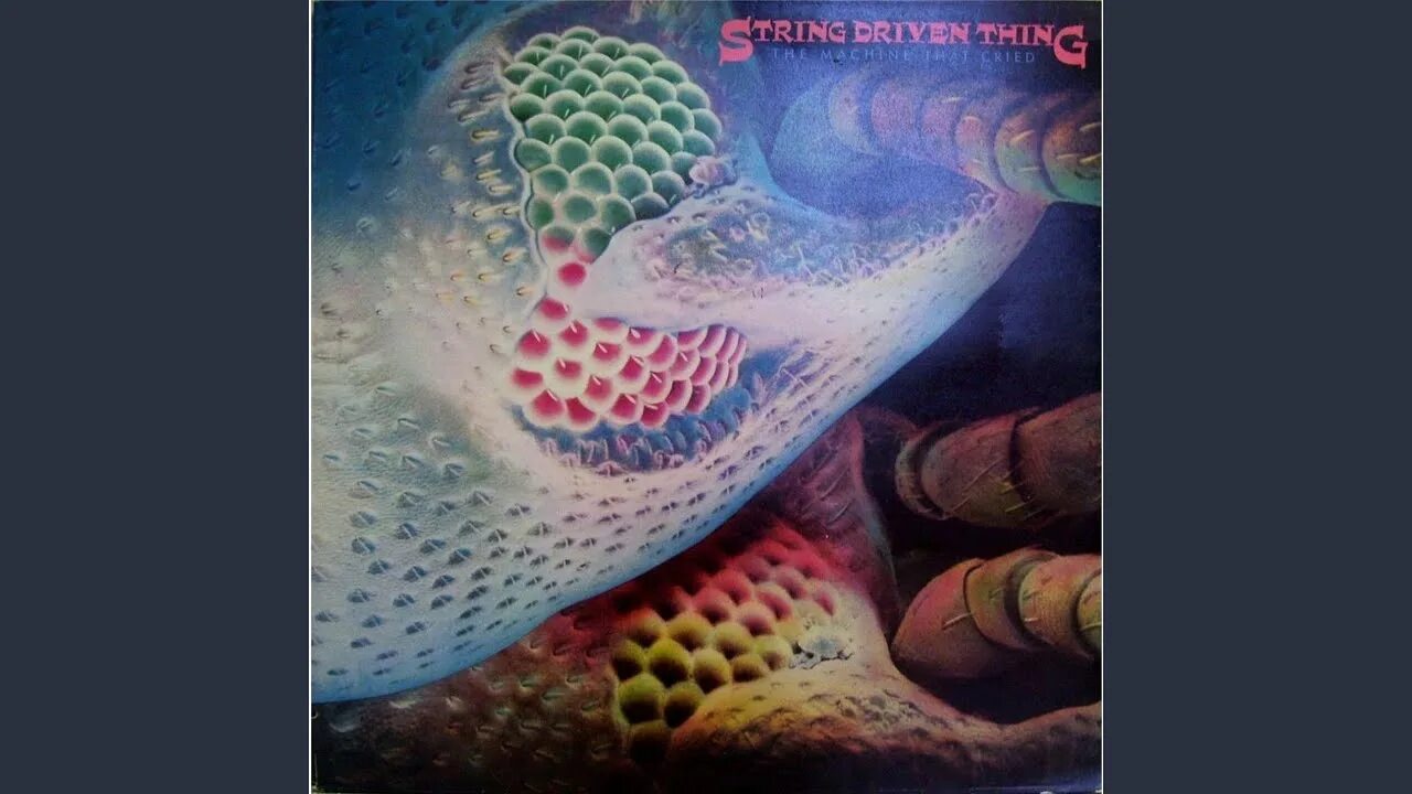 The machine that made us. String driven thing - the machine that cried (1973). string driven thing / the machine that cried. string driven thing. string driven thing - the machine that cried (1973) – 01. heartfeeder 320 kbps.