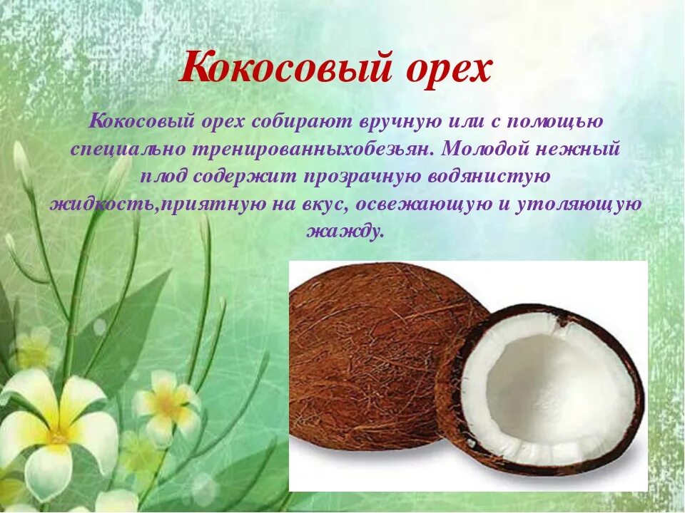 Чем полезен Кокос. Витамины в кокосе. Полезные свойства кокоса. Что полезного в кокосе.