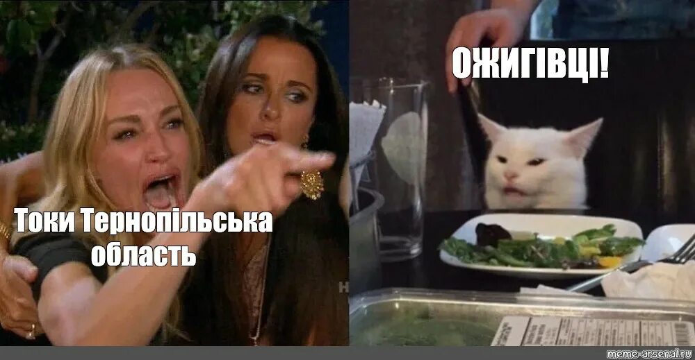 Кот из мема с девушками. Мем с котом и двумя женщинами. мем с белым котом и двумя девушками. мем с котом и женщинами про 23. мем с котом и женщиной тыкающей.