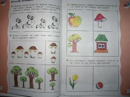 Математика ступеньки 5 7
