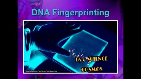 Certificate fingerprint