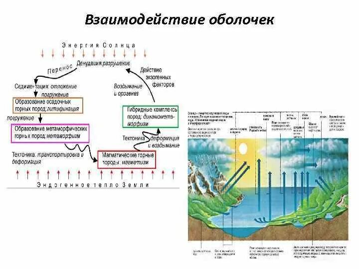 Примеры как биосфера взаимодействует с атмосферой. Схема взаимодействия оболочек земли. Взаимодействие оболочек земли таблица. Схема взаимосвязи оболочек земли. Взаимодействие организмов с земными оболочками.