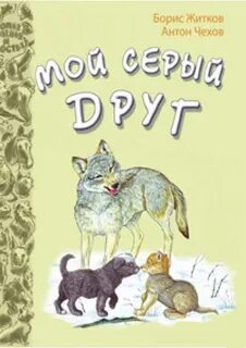 Друг серой