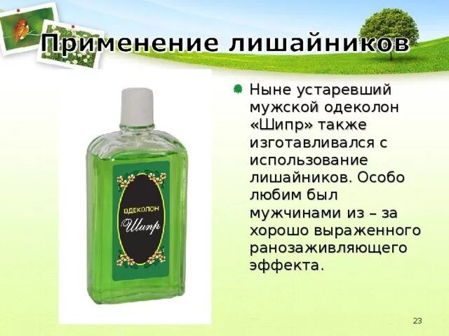 Как сделать одеколон. Одеколон &quot;шипр&quot;. тройной одеколон шипр. лишайники используемые в парфюмерии. одеколон шипр состав.