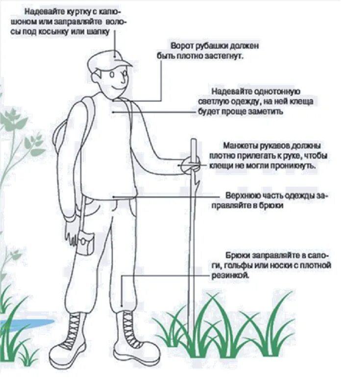 Как защититься от клещей на природе. Одежда для похода в лес от клещей. Памятка для леса от клещей. Как одеваться для защиты от клещей. Профилактика от клещей.