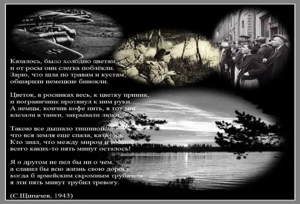 Стих казалось было холодно цветам. Казалось было холодно цветам и от росы. Стихи казалось было холодно цветам и от росы. Казалось это было давно