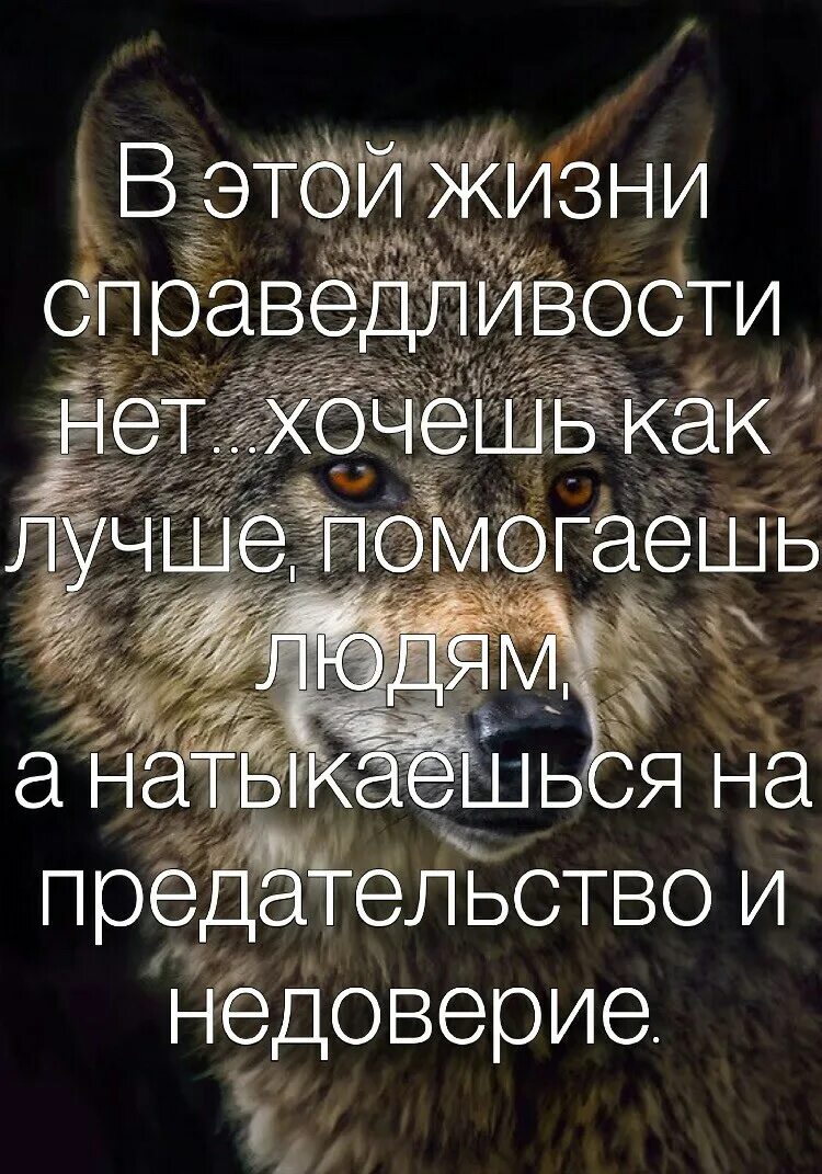 Справедливость в жизни. Афоризмы про справедливость. Фразы о несправедливости жизни. Справедливость из жизни. Цитаты про справедливость жизни.