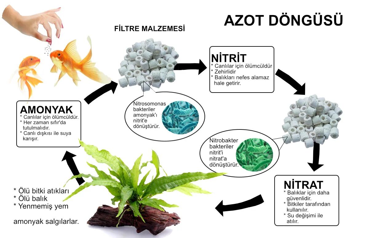 Azot net. Азот хакида. Azot блоггер. Гибнущие растения без азота. Oxid azot 2 растения.