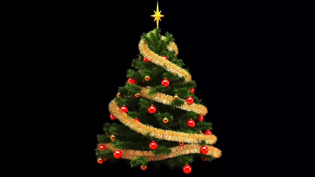 Ёлка на зелёном фоне. Новогодняя елка футаж. Новогодняя елка хромакей. Новогодняя елка хромакей. Ёлка на зелёном фоне.