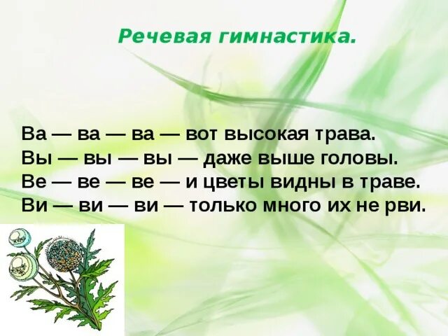 Речевая гимнастика. Речевая гимнастика 1 класс. Чистоговорки про цветы. Чистоговорки про цветы для дошкольников.