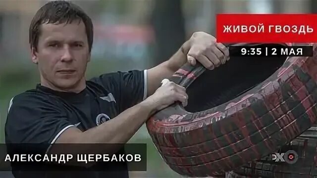 Жив гвоздь