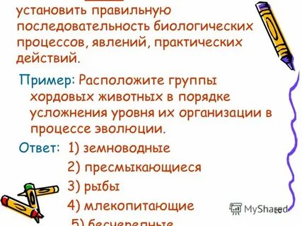Последовательность биологических систем