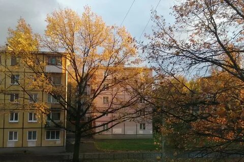 Кировск отрадное