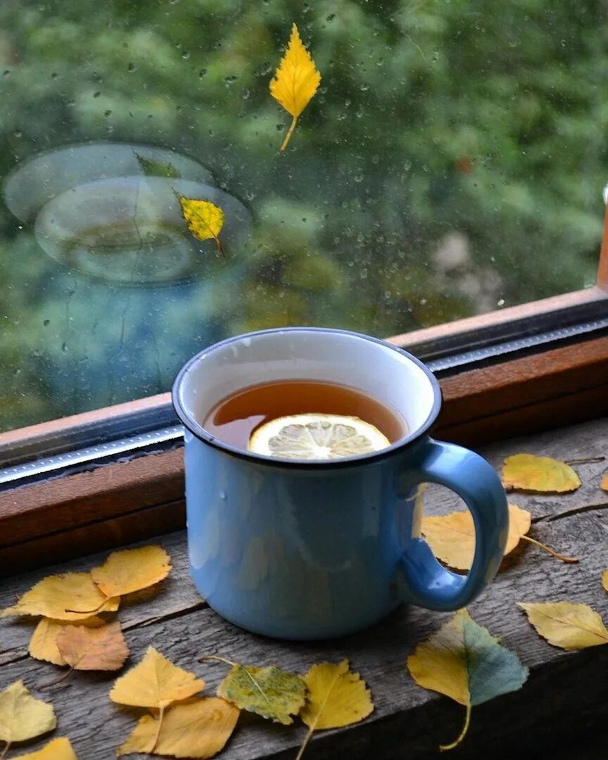 Осень дождь чай. Доброе дождливое осеннее утро. Холодное осеннее утро. С добрым осенним дождливым утром. Холодный вечер холодный чай