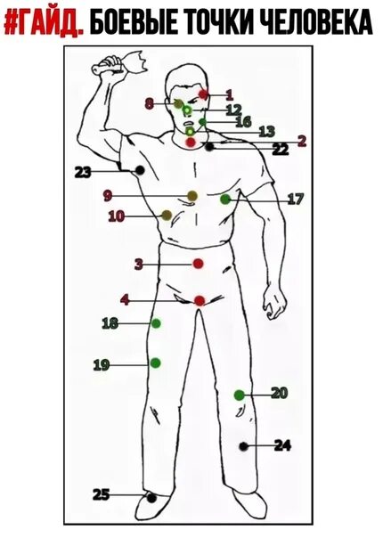 Больные места у человека. Болевые точки человека опасные. Болевые точки человека при драке. Самые больные точки человека. Болевые точки для нажатия.