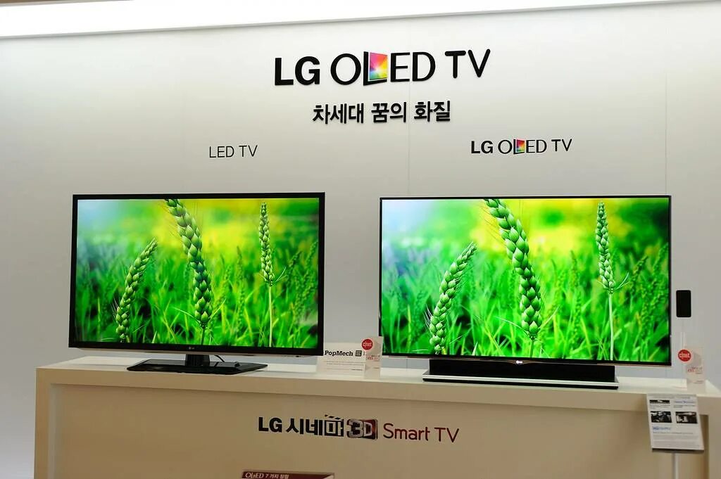 Телевизоры отличия. Led OLED. Монитор OLED И IPS. QLED И led. Led и LCD.